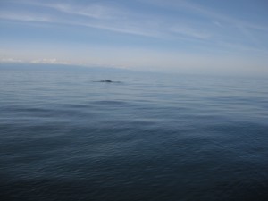 DSCF1139